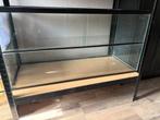 Terrarium 100x40 cm, Dieren en Toebehoren, Knaagdieren en Konijnen | Hokken en Kooien, Zo goed als nieuw, Hok, Hamster, 75 tot 110 cm