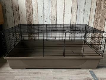 Cavia kooi  beschikbaar voor biedingen
