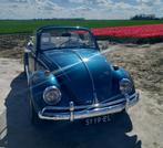 Huur Verhuren Trouwauto Kever Cabriolet Oldtimer Gala, Trouwauto