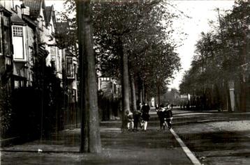 Dordrecht - Foto(kaart) - Reeweg  beschikbaar voor biedingen