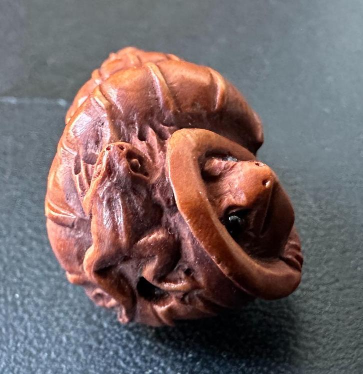 Ojime in buxushout van een schelp met kikker, Antiek en Kunst, Kunst | Niet-Westerse kunst, Verzenden