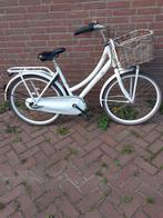 Cortina 24 inch meisjesfiets met transportrekje en mand, Fietsen en Brommers, Fietsen | Meisjes, Ophalen, 24 inch, Versnellingen