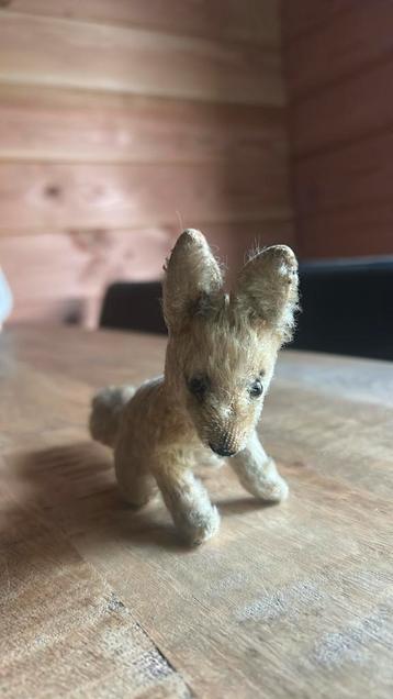 Steiff woestijnvos - Xorry - mohair beschikbaar voor biedingen