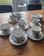 servies van Villeroy & Boch, serie Botanica, Antiek en Kunst, Antiek | Servies compleet, Ophalen of Verzenden
