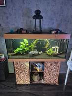 Aquarium met alles toebehoren, Dieren en Toebehoren, Ophalen, Gebruikt
