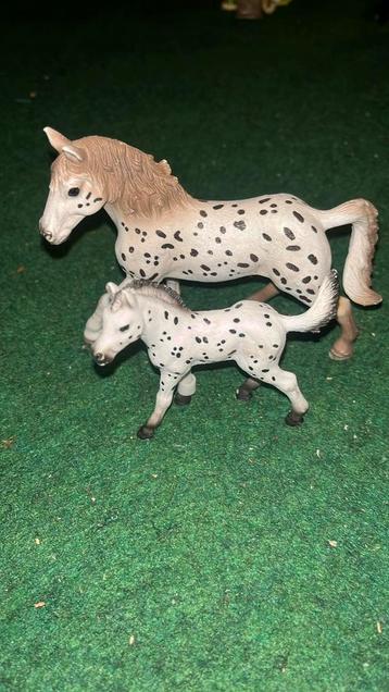 Paard met veulen! beschikbaar voor biedingen