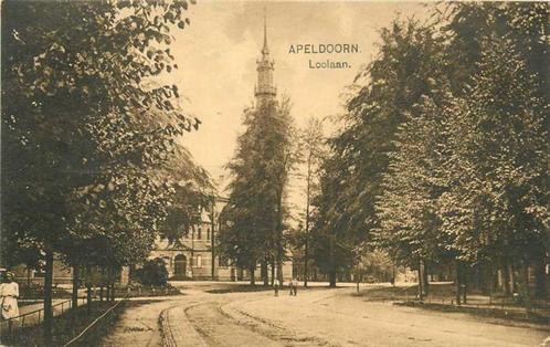 (300-419-019) Apeldoorn Loolaan, Verzamelen, Ansichtkaarten | Nederland, Gelderland, Verzenden