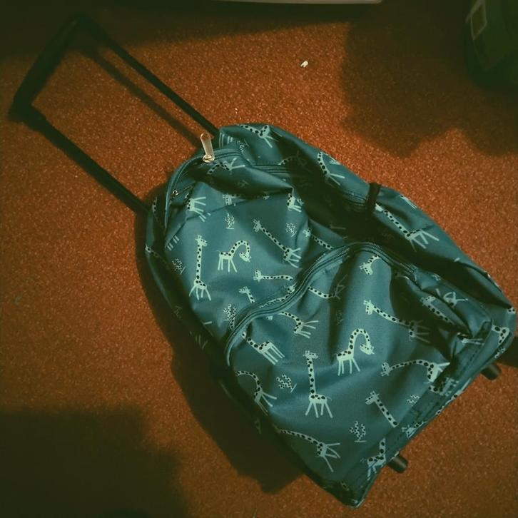 trolley rugzak met giraffen, douche setje lion king, Kinderen en Baby's, Kinderspulletjes, Nieuw, Ophalen of Verzenden