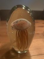 Glazen bol met kwal - decoratief object, Ophalen, Overige kleuren, Minder dan 50 cm, Glas