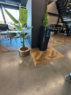 Laminaat/pvc klik of plak / parket vloeren, Houten vloeren