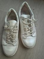 Poelman Parelmoer Sneakers Mt 38, Kleding | Dames, Schoenen, Ophalen, Poelman, Wit, Sneakers of Gympen