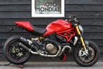 DUCATI MONSTER 1200 S (bj 2015) Termignoni, Bedrijf, Naked bike