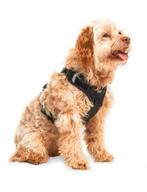 Jack and Jacky - Anti trek Tuig - HondenHarnas (Ophalen), Dieren en Toebehoren, Ophalen, Zo goed als nieuw, Hondenriem