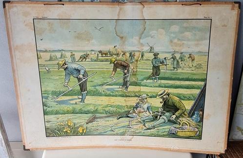 Antieke schoolplaat  In het Hooiland/C.Jetses, Antiek en Kunst, Antiek | Schoolplaten, Natuur en Biologie, Ophalen