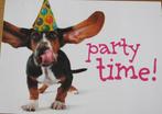 Basset met feestmuts - party time, Verzenden, 1980 tot heden, Gelopen, Hond of Kat