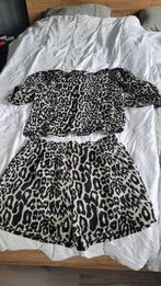 Set Top met korte broek - panterprint, Kleding | Dames, Broeken en Pantalons, Overige kleuren, Kort, Maat 46/48 (XL) of groter