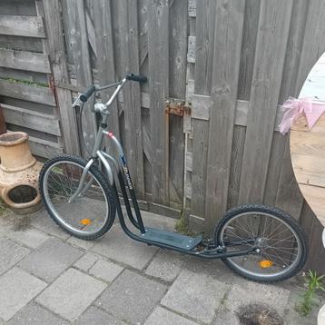 Runner Cycles sportstep voor volwassenen  beschikbaar voor biedingen