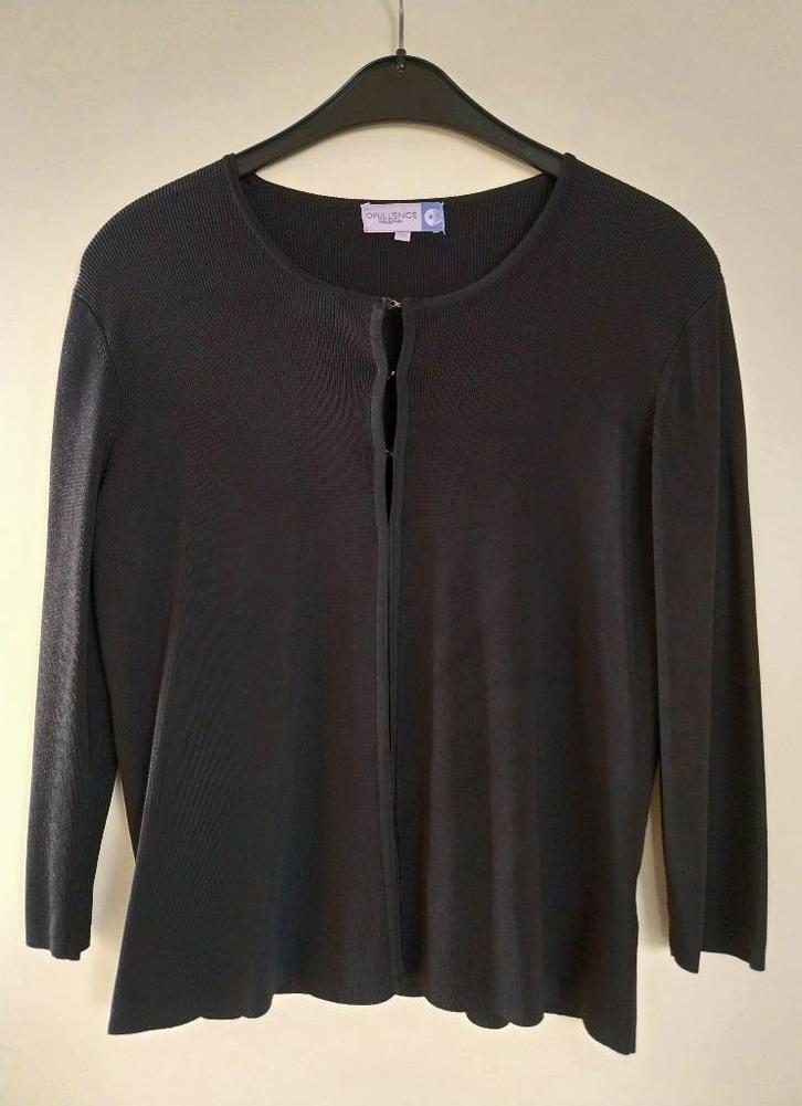 Opull'ence Collection vestje zwart maat M/L zwart, Kleding | Dames, Truien en Vesten, Gedragen, Maat 38/40 (M), Zwart, Ophalen of Verzenden
