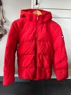 Tommy Hilfiger winterjas rood mt 152, Gebruikt, Ophalen of Verzenden, Tommy Hilfiger, Jongen