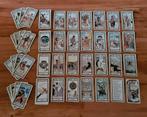 Native american tarot deck Magda W. Gonzalez - oude wijsheid, Boeken, Verzenden, Gelezen, Tarot of Kaarten leggen, Overige typen