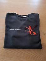 Hele mooie meisjes sweater Calvin Klein jeans maat 176, Ophalen of Verzenden, Zo goed als nieuw, Meisje, Trui of Vest