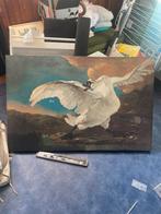 Schilderij Zwaan, Antiek en Kunst, Kunst | Schilderijen | Klassiek, Ophalen