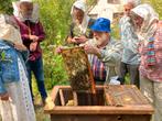 Imkercursus, bijenhouden, natuurlijk imkeren, bd imkeren.