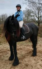 Verzorgpony gezocht!!, Ophalen of Verzenden