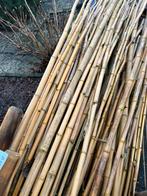 Bamboe stokken 400/500 cm lang heel veel, Ophalen of Verzenden, Zo goed als nieuw, 250 cm of meer, Palen