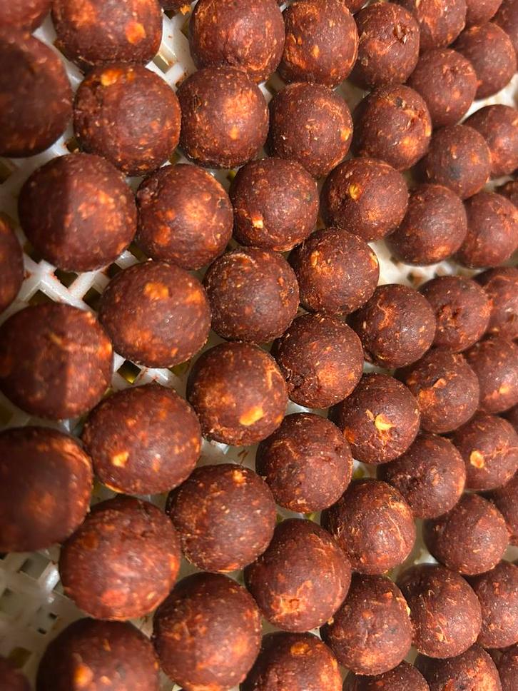 Ultra spice boile kruidig, Watersport en Boten, Hengelsport | Karpervissen, Nieuw, Overige typen, Ophalen of Verzenden