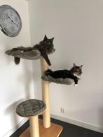 Katzendeco Krabpaal Leeuwarden 145cm, grijs-zeer goede staat, Dieren en Toebehoren, Ophalen, Zo goed als nieuw, Krabpaal