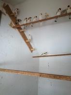 Major Putters 2025 diverse soorten, Dieren en Toebehoren, Meerdere dieren, Wildzangvogel, Geringd