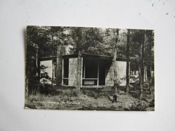 Ansichtkaarten Nederland, TC 8-60 Appelscha, Camping 1967 beschikbaar voor biedingen