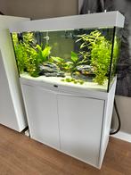 Aquatlantis Volga 125 + OASE Biomaster2 350 Thermo + ORI-app, Ophalen, Zo goed als nieuw, Leeg aquarium