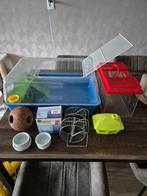 Knaagdieren hok, Gebruikt, Minder dan 75 cm, Hok, Hamster