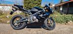 Triumph Daytona 675 2009, 675 cc, 3 cilinders, Meer dan 35 kW, Sport