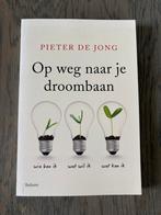 Boek: Op weg naar je droombaan - Pieter de Jong, Ophalen of Verzenden, Zo goed als nieuw