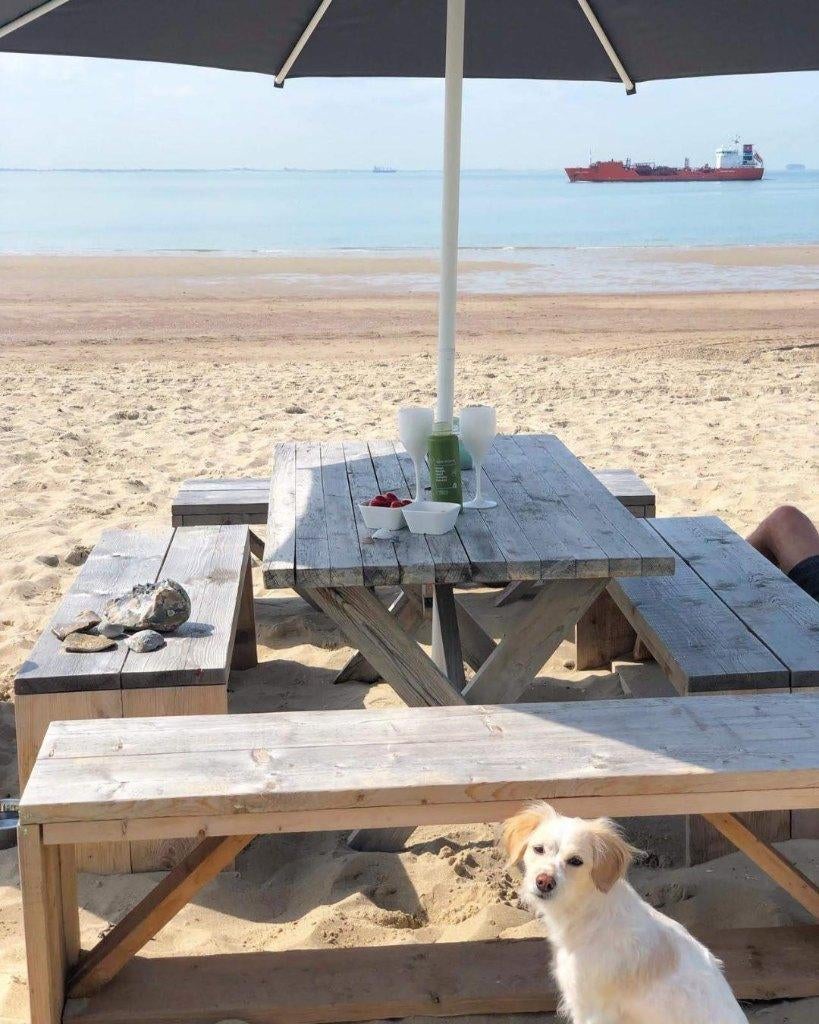 Een schitterend strandhuis voor 4 personen - Honden welkom, Vakantie, Aan zee, Zeeland, Internet, 1 slaapkamer