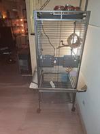Vogelkooi ( 5 mnd oud ) 100 euro, Ophalen, Zo goed als nieuw, Metaal, Vogelkooi