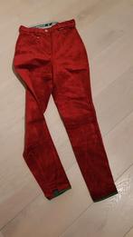 Horka paardrijbroek ribfluweel stretch robijnrood 36/38, Dressuur, Nieuw, Dames, Onderkleding