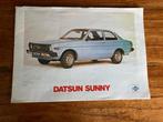 Folder van de Datsun Sunny 1979, Gelezen, Overige merken, Ophalen of Verzenden, Datsun