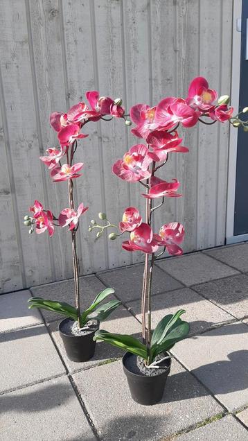 Kunst Orchideeën - Ikea Fejka beschikbaar voor biedingen