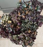 Droogbloemen Hortensia - Mooie Decoratie, Ophalen of Verzenden, Zo goed als nieuw