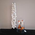 Echte witte schelpenketting streng op zwarte voet japandi, Huis en Inrichting, Woonaccessoires | Overige, Nieuw, Ophalen of Verzenden