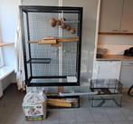 Grote gerbil kooi, knaagdier hok met toebehoren, Dieren en Toebehoren, Ophalen, Kooi, Gebruikt, Muis