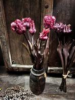 Papegaai kunst tulpen, Ophalen of Verzenden