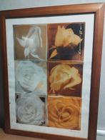 Amy Guip - Blooming Rose - Ingelijste Print, Ophalen, Minder dan 50 cm, Gebruikt, Oorspronkelijke maker