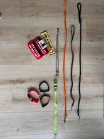 Verschillende puppy hondenlijnen halsbanden, trainingslabels, Dieren en Toebehoren, Ophalen of Verzenden, Zo goed als nieuw