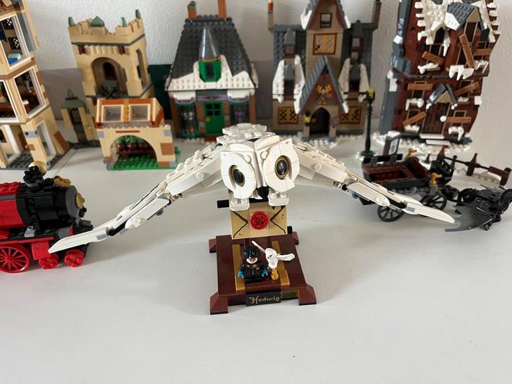 LEGO Harry Potter 75979 Hedwig, Kinderen en Baby's, Speelgoed | Duplo en Lego, Zo goed als nieuw, Lego, Complete set, Ophalen of Verzenden