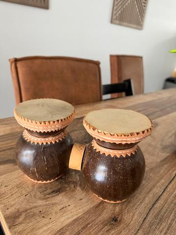 Bongoh de Coco uit Brazilië beschikbaar voor biedingen